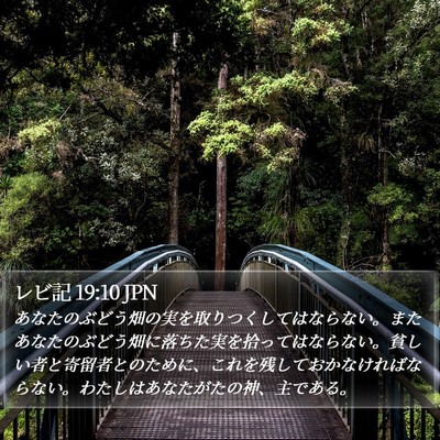 レビ記 19:10 JPN Bible Verse Image