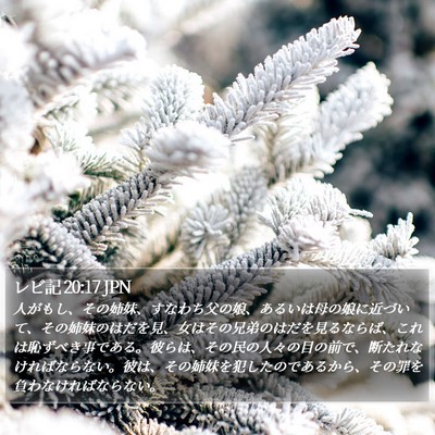 レビ記 20:17 JPN Bible Verse Image