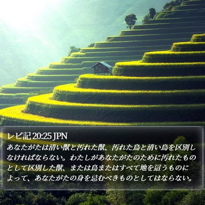 レビ記 20:25 JPN Bible Verse Image