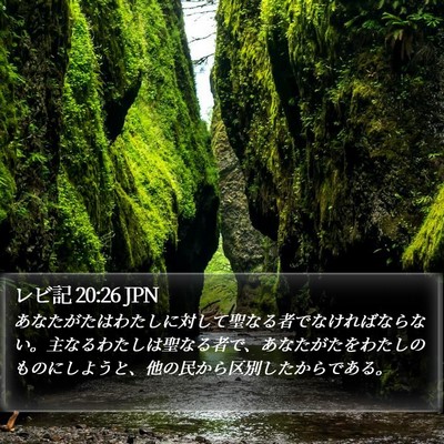 レビ記 20:26 JPN Bible Verse Image