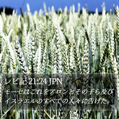 レビ記 21:24 JPN Bible Verse Image
