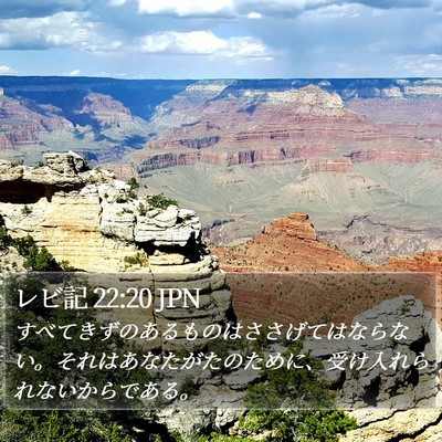 レビ記 22:20 JPN Bible Verse Image