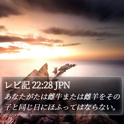 レビ記 22:28 JPN Bible Verse Image