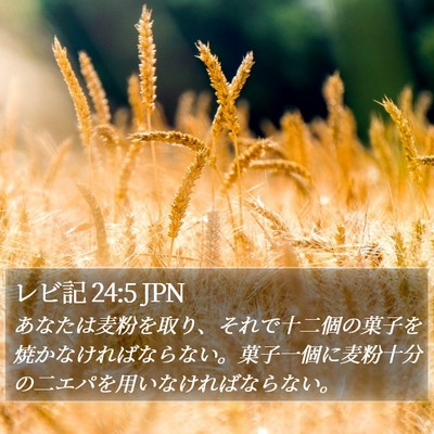 レビ記 24:5 JPN Bible Verse Image