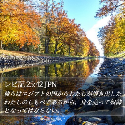 レビ記 25:42 JPN Bible Verse Image