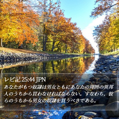 レビ記 25:44 JPN Bible Verse Image