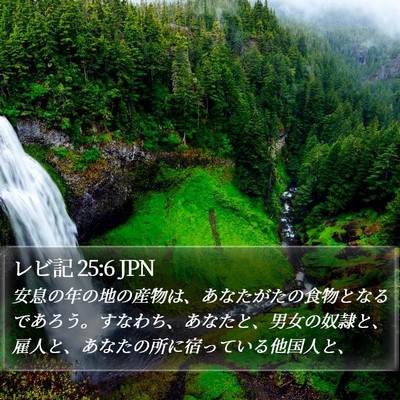 レビ記 25:6 JPN Bible Verse Image