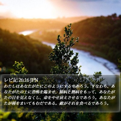 レビ記 26:16 JPN Bible Verse Image