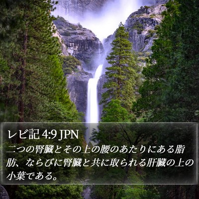 レビ記 4:9 JPN Bible Verse Image