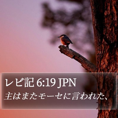 レビ記 6:19 JPN Bible Verse Image