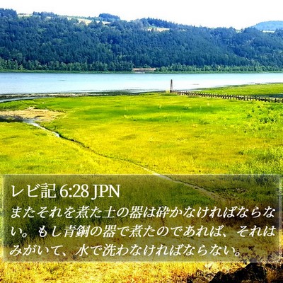 レビ記 6:28 JPN Bible Verse Image