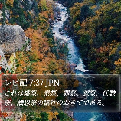 レビ記 7:37 JPN Bible Verse Image
