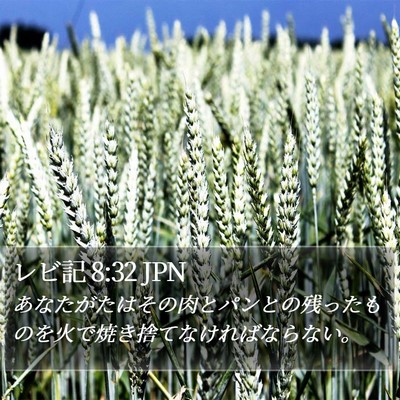 レビ記 8:32 JPN Bible Verse Image