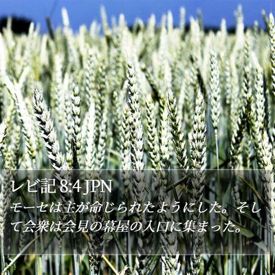 レビ記 8:4 JPN Bible Verse Image