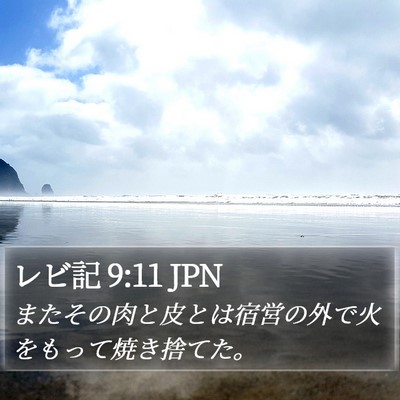 レビ記 9:11 JPN Bible Verse Image