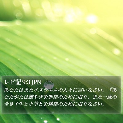 レビ記 9:3 JPN Bible Verse Image
