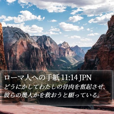 ローマ人への手紙 11:14 JPN Bible Verse Image