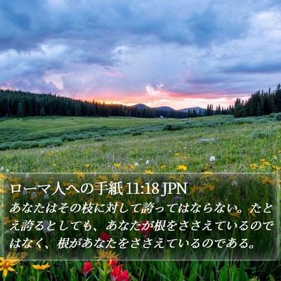 ローマ人への手紙 11:18 JPN Bible Verse Image