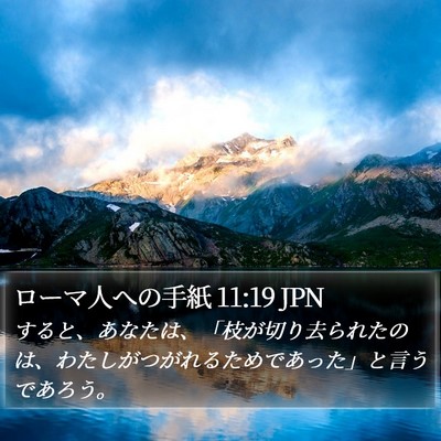 ローマ人への手紙 11:19 JPN Bible Verse Image