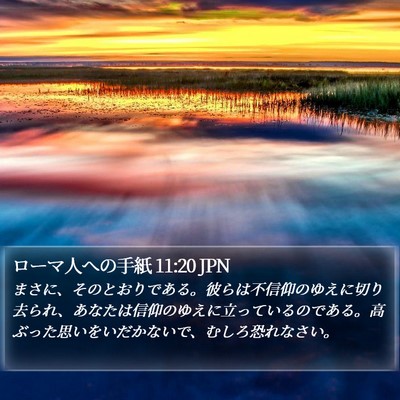 ローマ人への手紙 11:20 JPN Bible Verse Image