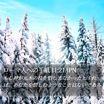 ローマ人への手紙 11:21 JPN Bible Verse Image