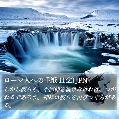 ローマ人への手紙 11:23 JPN Bible Verse Image