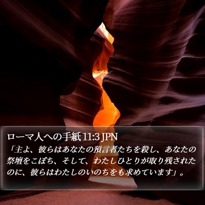 ローマ人への手紙 11:3 JPN Bible Verse Image