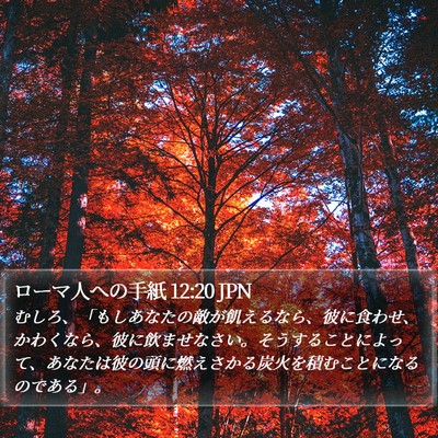 ローマ人への手紙 12:20 JPN Bible Verse Image