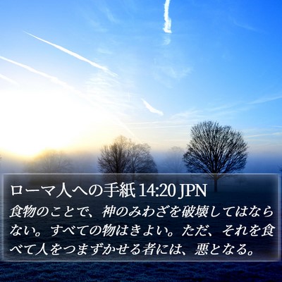 ローマ人への手紙 14:20 JPN Bible Verse Image
