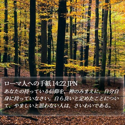 ローマ人への手紙 14:22 JPN Bible Verse Image