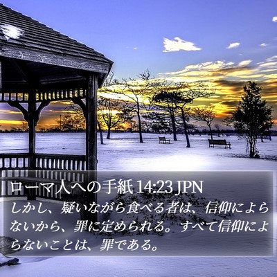 ローマ人への手紙 14:23 JPN Bible Verse Image