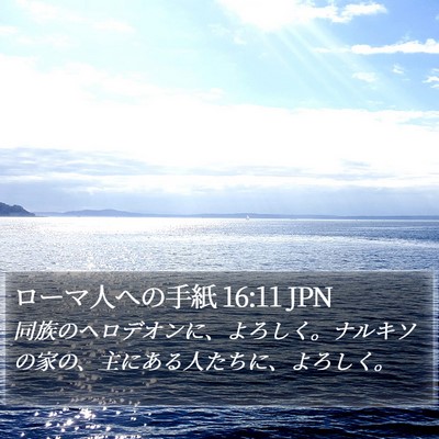 ローマ人への手紙 16:11 JPN Bible Verse Image