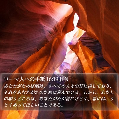 ローマ人への手紙 16:19 JPN Bible Verse Image
