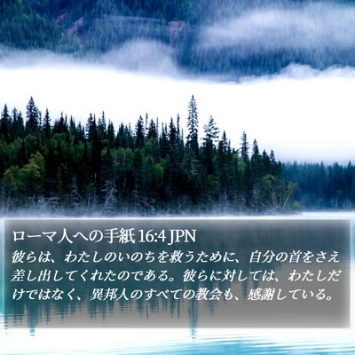 ローマ人への手紙 16:4 JPN Bible Verse Image