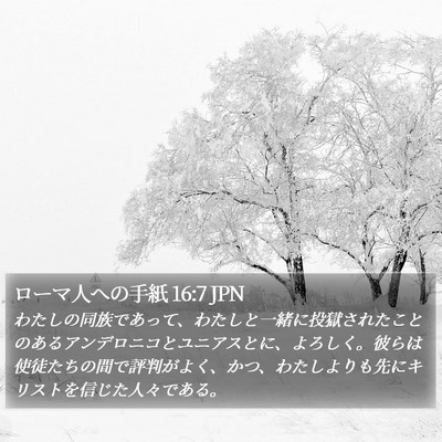 ローマ人への手紙 16:7 JPN Bible Verse Image