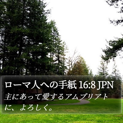 ローマ人への手紙 16:8 JPN Bible Verse Image