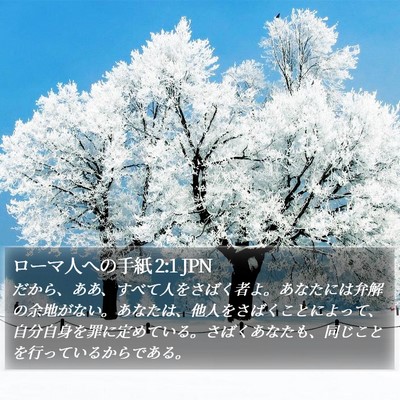 ローマ人への手紙 2:1 JPN Bible Verse Image