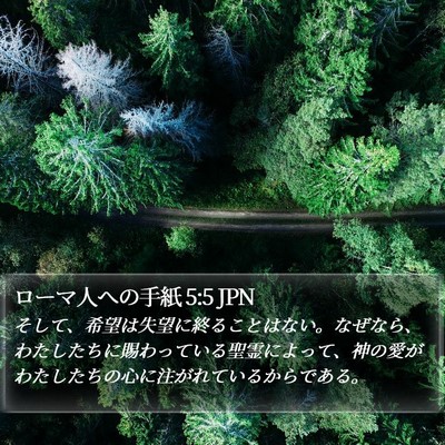 ローマ人への手紙 5:5 JPN Bible Verse Image