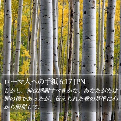 ローマ人への手紙 6:17 JPN Bible Verse Image