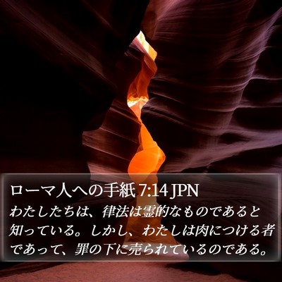 ローマ人への手紙 7:14 JPN Bible Verse Image