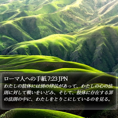 ローマ人への手紙 7:23 JPN Bible Verse Image