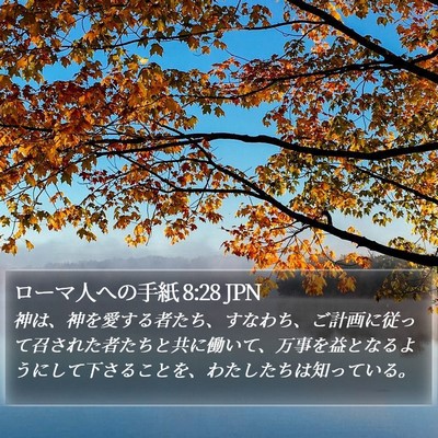 ローマ人への手紙 8:28 JPN Bible Verse Image