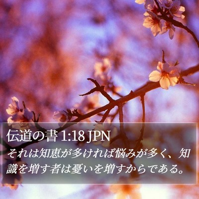 伝道の書 1:18 JPN Bible Verse Image