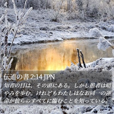 伝道の書 2:14 JPN Bible Verse Image