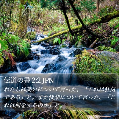 伝道の書 2:2 JPN Bible Verse Image