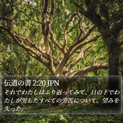 伝道の書 2:20 JPN Bible Verse Image