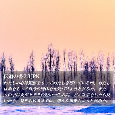 伝道の書 2:3 JPN Bible Verse Image