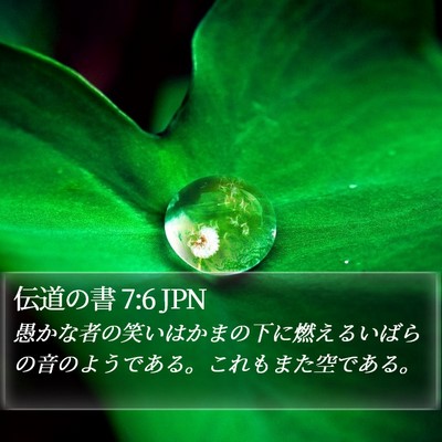 伝道の書 7:6 JPN Bible Verse Image