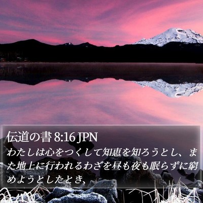 伝道の書 8:16 JPN Bible Verse Image