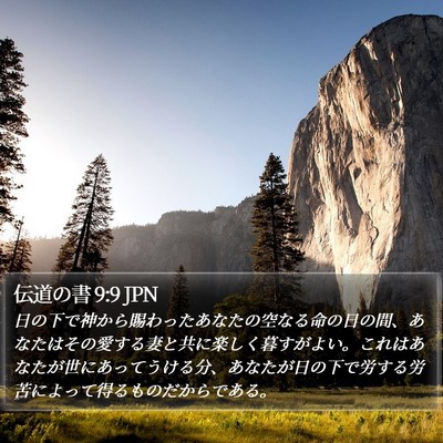伝道の書 9:9 JPN Bible Verse Image